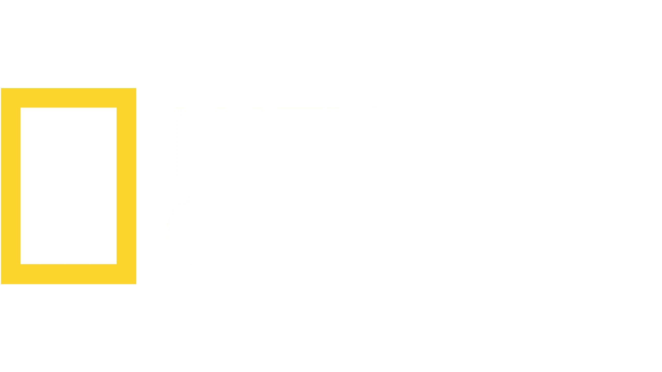 tvnado